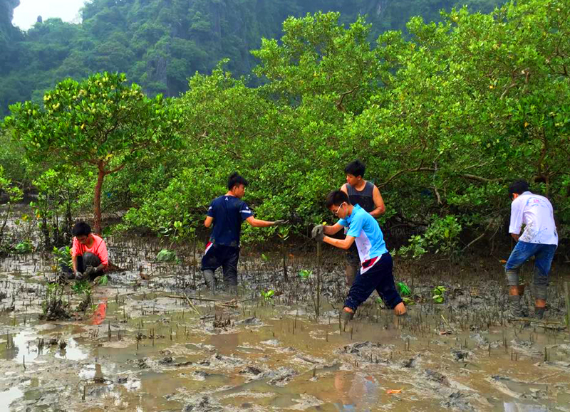 Khám Phá Những Điều Thú Vị Về Hang Đầu Gỗ - Thiên Đường Địa Chất 4 Khám Phá Những Điều Thú Vị Về Hang Đầu Gỗ - Thiên Đường Địa Chất