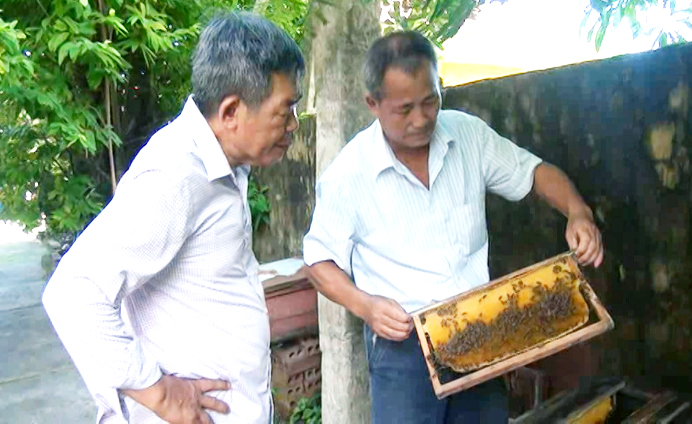 CCB Chu Viết Hồng (bên phải) giới thiệu mô hình nuôi ong lấy mật.