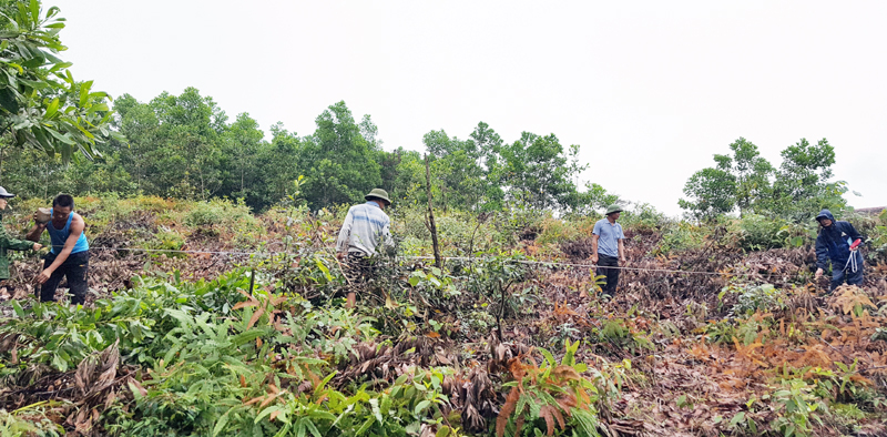 Cán bộ xã Đông Ngũ (Tiên Yên) đo đạc diện tích đất để bàn giao cho 3 hộ dân thôn Đồng Mộc xây nhà mới do di dời khỏi vùng có nguy cơ sạt lở.
