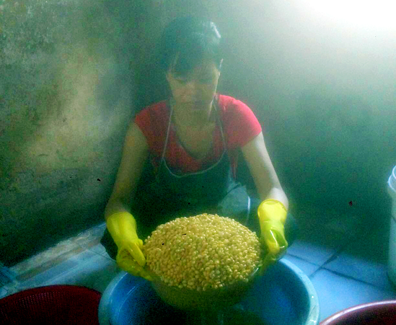 Chị Thúy chuẩn bị đậu tương để xay, một công đoạn quan trọng của quy trình làm đậu phụ.