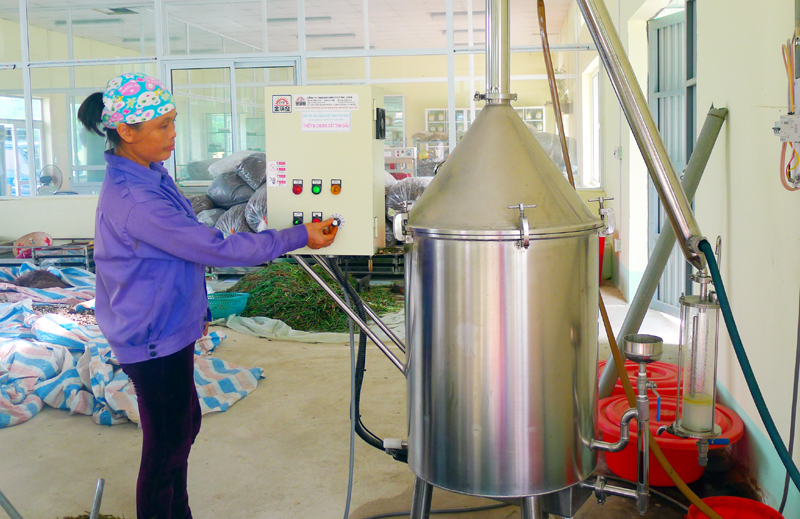 Vận hành máy chưng cất tinh dầu dược liệu tại HTX Nông dược xanh Tinh Hoa.