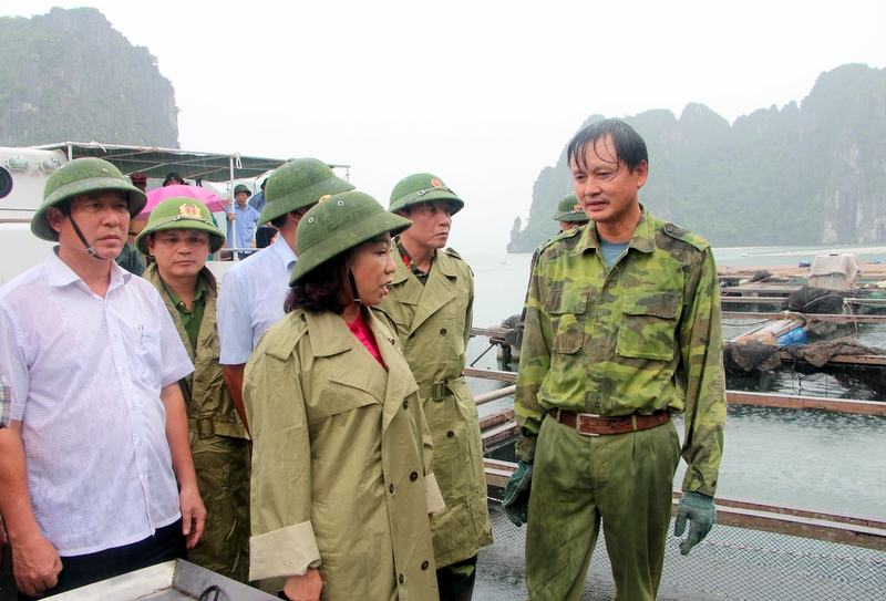 Đồng chí Vũ Thị Thu Thủy, Phó Chủ tịch UBND tỉnh kiểm tra việc chằng chống các nhà bè, lồng bè trên địa bàn huyện Vân Đồn. (Ảnh: Ngọc Huyền - Cổng thông tin điện từ tỉnh).