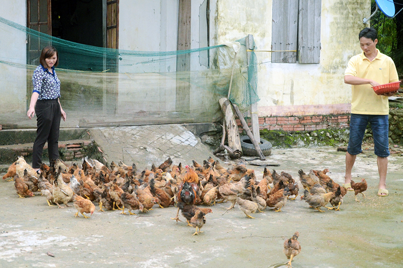 Chị Hoàng Thị Đạo tới thăm mô hình nuôi gà của gia đình hội viên Lỷ A Hồ, thôn Khe Lục.