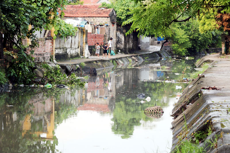 Kênh tiêu thoát nước phường Phong Cốc đang bị rác bủa vây ô nhiễm nặng nề...