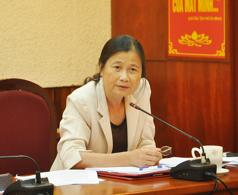Đồng chí Đỗ Thị Hoàng, Phó Bí thư Thường trực Tỉnh ủy phát biểu tại cuộc họp.