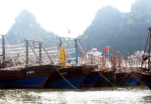 Tàu khai thác thuỷ sản xa bờ của ngư dân huyện Vân Đồn.