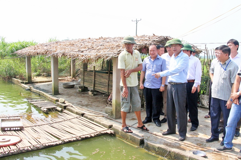 Đồng chí Bí thư Tỉnh ủy thăm mô hình kinh tế hộ gia đình ông Đặng Văn Lỵ, thôn Châu Hà, xã Quảng Lợi.