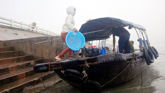 Nhiều phương tiện thuỷ cũ nát nhưng vẫn hoạt động, gây nguy cơ mất an toàn và khó khăn cho công tác quản lý của ngành chức năng. (Ảnh chụp ngày 23-7-2016 tại xã đảo Vĩnh Thực, TP Móng Cái)
