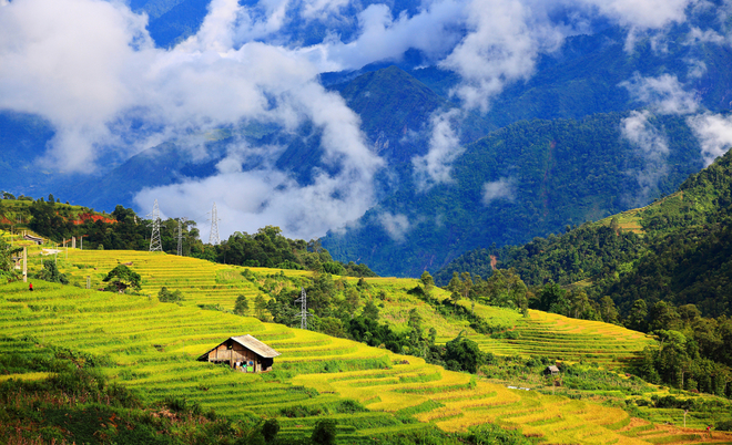 Cát Cát, Tả Van (Sa Pa- Lào Cai)  Ở huyện Sa Pa, một số thửa ruộng ở Cát Cát, Tả Van đã ngả màu, khoảng giữa tháng 9 sẽ vàng rộ. Núi xanh, mây trắng và lúa vàng tạo nên một bức tranh thiên nhiên tươi đẹp quen thuộc của mảnh đất Sa Pa. Bản Tả Van, Tả Phìn là điểm du lịch phổ biến, bạn có thể thuê xe máy từ thị trấn Sa Pa để chạy vào thưởng ngoạn cảnh mùa vàng. Ảnh: Nguyễn Trung Quân.