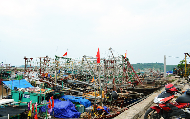 Vùng cửa sông của xã Tiến Tới (huyện Hải Hà) hiện có nhiều tàu thuyền của ngư dân thường xuyên neo đậu.