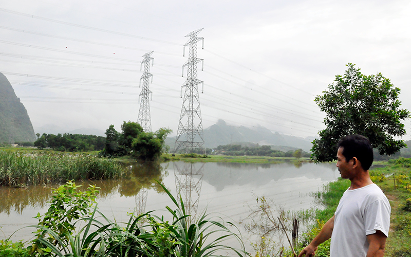 Trưởng thôn Nguyễn Văn Tý tần ngần đứng trước một khu vực ngập nước ở cánh đồng.