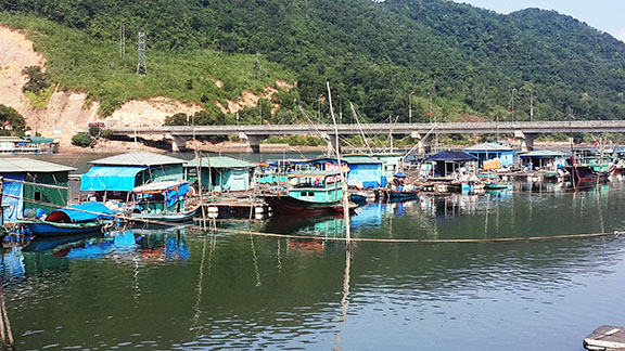 Mô hình nhà bè nuôi cá song đen tập trung tại thôn Cặp Tiên, xã Đông Xá (Vân Đồn).  Ảnh: Minh Đức