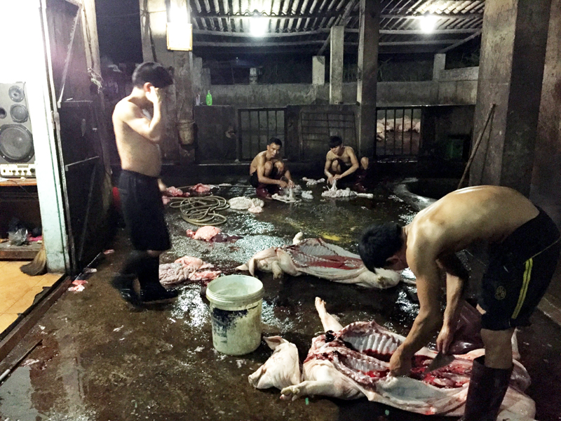 Khu giết mổ tập trung phường Hà Khánh (TP Hạ Long).