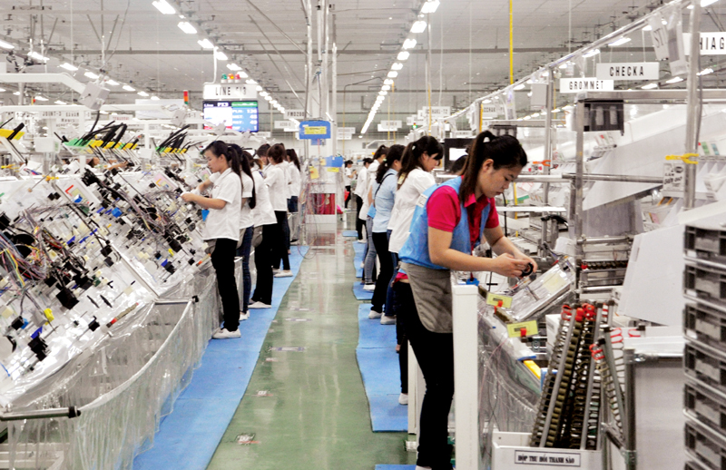 Sản xuất hệ thống dây dẫn và cụm thiết bị điện tại KCN Đông Mai (TX Quảng Yên). 