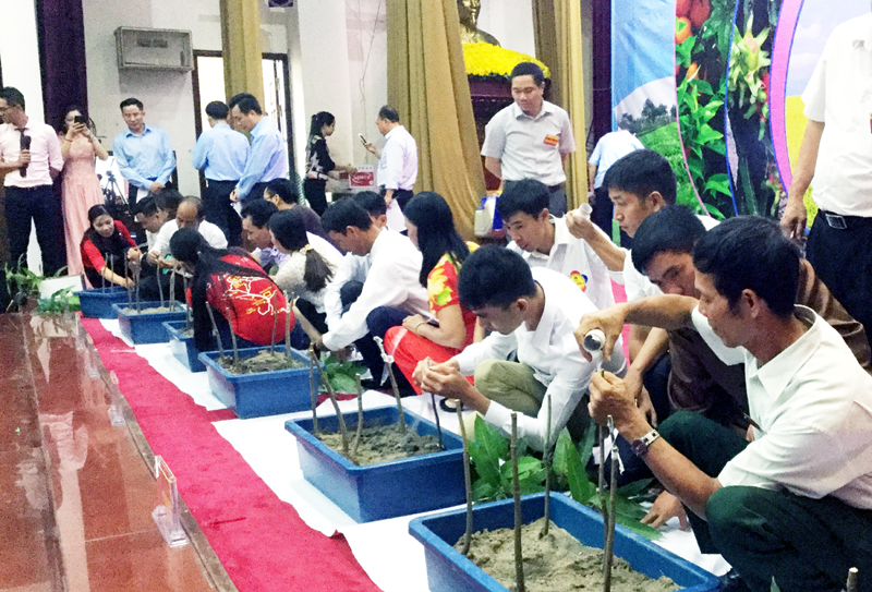 Các đội thi tham gia phần thi ghép cây tại Hội thi Nhà nông đua tài tỉnh tổ chức ngày 10 và 11-10 vừa qua.