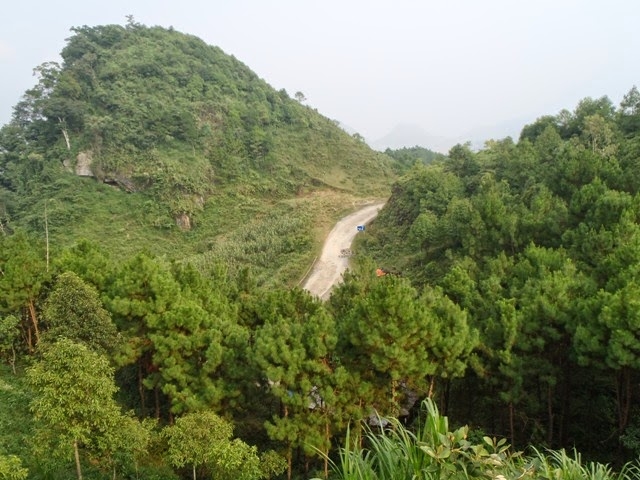 Đường đến Hà Giang được bao trùm bởi một màu xanh của cỏ cây xanh mát.