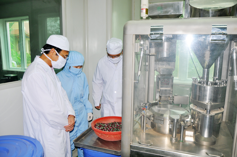 Đồng chí Đặng Huy Hậu, Phó Chủ tịch Thường trực UBND tỉnh kểm tra quy trình sản xuất thuốc viên.