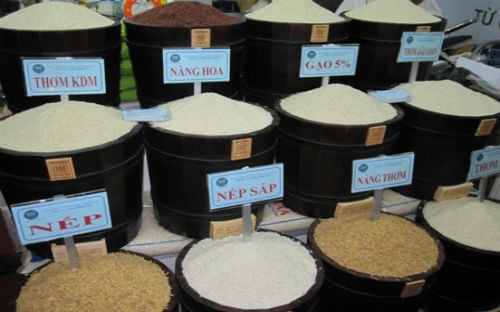 Gạo Việt tái cơ cấu để tăng xuất khẩu