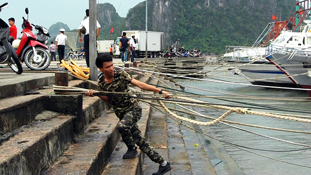 Quảng Ninh: Tàu thuyền khẩn trương về nơi tránh trú an toàn