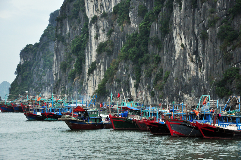 Bão số 7 hướng về Quảng Ninh, tàu bè khẩn trương về nơi tránh trú
