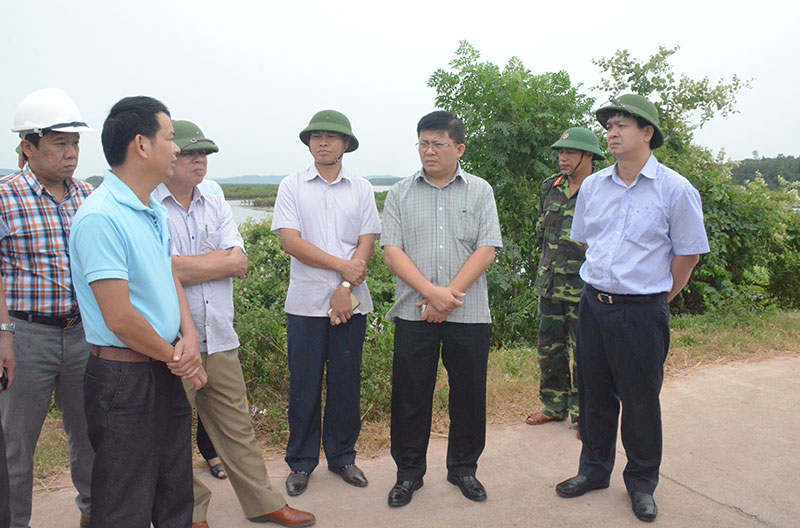 Đồng chí Lê Quang Tùng kiểm tra điểm neo đậu tầu thuyền xã Đầm Hà, huyện Hải Hà