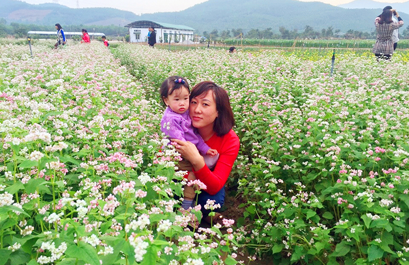 Đến phía Tây Hoành Bồ dịp cuối năm hoặc đầu xuân mới, du khách còn được ngắm muôn sắc hoa ở Thiên đường hoa (xã Quảng La), đắm mình trong vùng trồng hoa tam giác mạch đầu tiên ở Quảng Ninh...