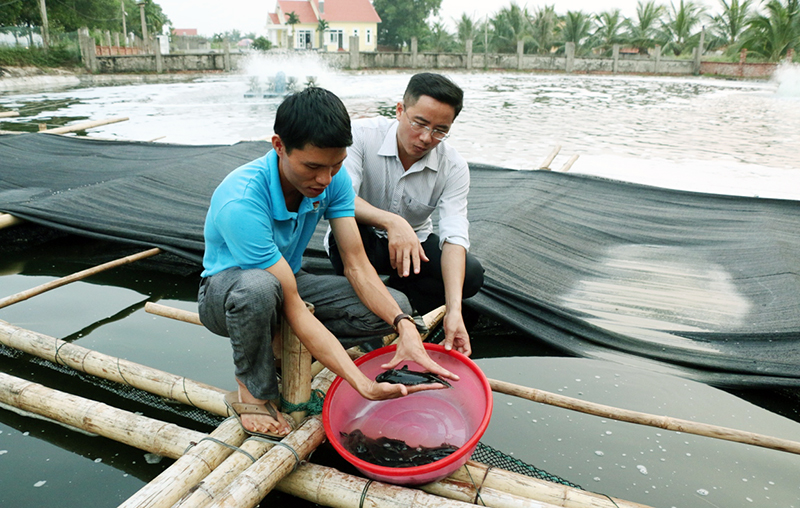 Bắc Giang xây dựng mô hình ứng dụng công nghệ cao IPA trong nuôi cá thâm  canh  Chi tiết tin tức  Sở NNPTNT