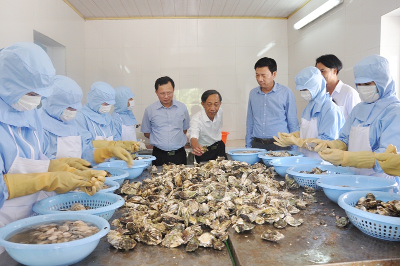 Bí thư Tỉnh ủy thăm cơ sở chế biến hàu tại Công ty TNHH đầu tư phát triển sản xuất Hạ Long, xã Đông Xá, huyện Vân Đồn.