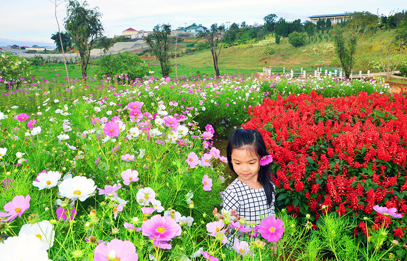 Công viên hoa Đà Lạt rộng 7.000m2, một trong những điểm nhấn hấp dẫn du khách. Đây là nơi trưng bày về hoa lớn nhất và đầy đủ nhất của Đà Lạt với hàng trăm giống hoa khác nhau.