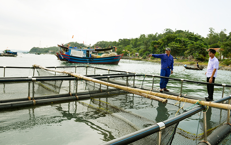 Anh Đinh Hữu Hoè, thôn Thi Đua, xã Thắng Lợi, huyện Vân Đồn (bên trái) đang giới thiệu về lồng bè nuôi cá bằng ống nhựa HDPE của gia đình.