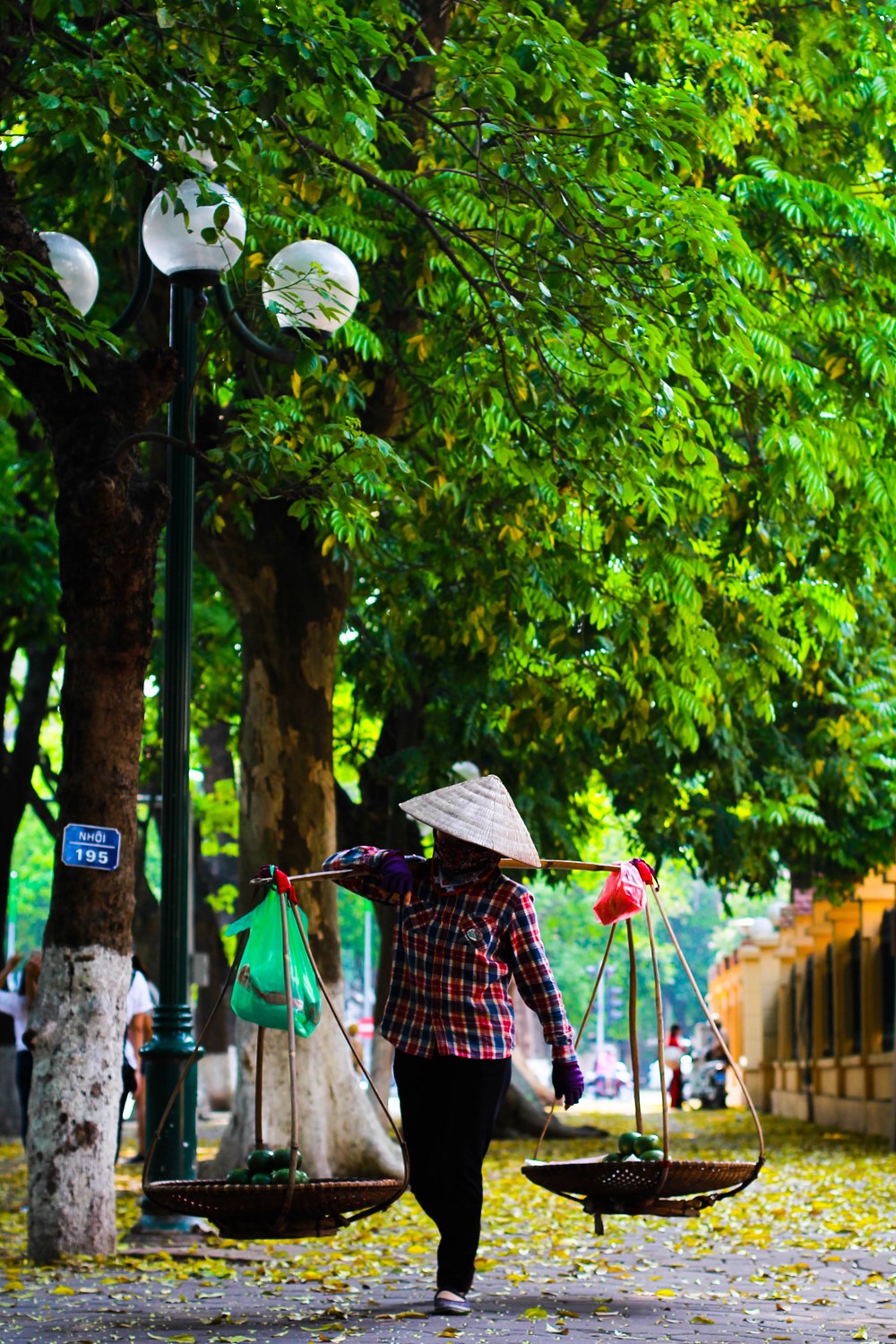 Người phụ nữ bán hàng rong hoa quả trên phố Phan Đình Phùng. (Ảnh: Thanh Dung/Vietnam+)