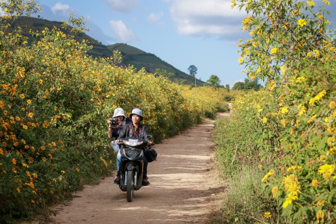 Khởi hành từ thành phố Pleiku, du khách đi khoảng 30 km về hướng đông bắc sẽ tới xã Chư Đăng Ya, huyện Chư Păh. Ấn tượng đầu tiên khi đặt chân đến vùng đất này chính là con đường hoa dã quỳ dẫn tới chân núi lửa.