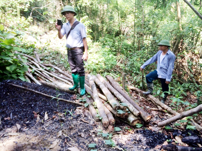 Cán bộ Ban Quản lý rừng phòng hộ hồ Yên Lập kiểm tra hiện trạng rừng tại xã Quảng La, huyện Hoành Bồ.  Ảnh: BQL rừng phòng hộ Hồ Yên Lập