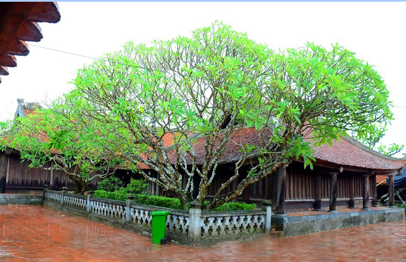 Với gần 400 năm tuổi, chùa Keo là một trong số ít chùa cổ lưu giữ được gần như nguyên vẹn kiến trúc xưa.