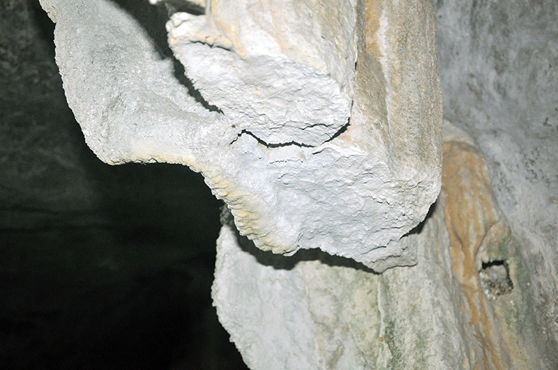 Một nhũ đá bị đứt gãy từ lâu trong hang Cặp La, viền nhũ đá có dấu hiệu tiếp tục mọc lên.