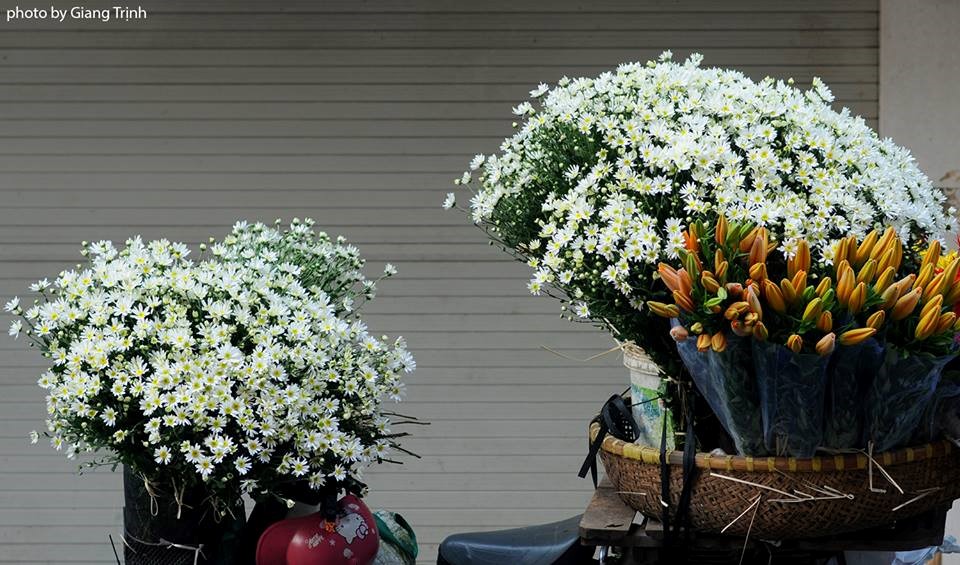 Những giỏ xe đầy hoa trắng nhẹ nhàng, tinh khôi khiến lòng ta cảm thấy yên bình.