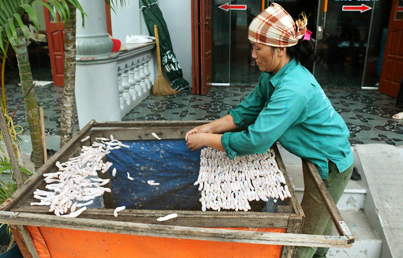 Sá sùng được ngư dân phơi khô, bán với giá từ 3-4 triệu đồng/kg.