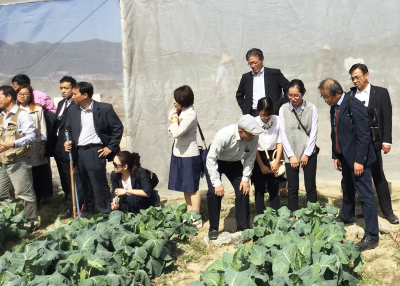 Đoàn chính quyền và doanh nhân thành phố Asahikawa - Nhật Bản cũng đã đi thăm quan, trực tiếp tìm hiểu công nghệ sản xuất nông sản tại Khu Nông nghiệp công nghệ cao Hồng Thái Tây và tại các doanh nghiệp nông nghiệp như Công ty CP đầu tư và xây dựng Việt Long, 