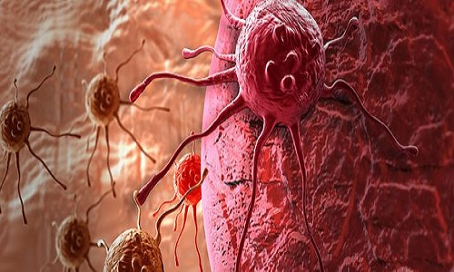 Hợp chất MYD1-72 có khả năng ngăn chặn sự phát triển của ung thư. Ảnh minh họa: Wikipedia.
