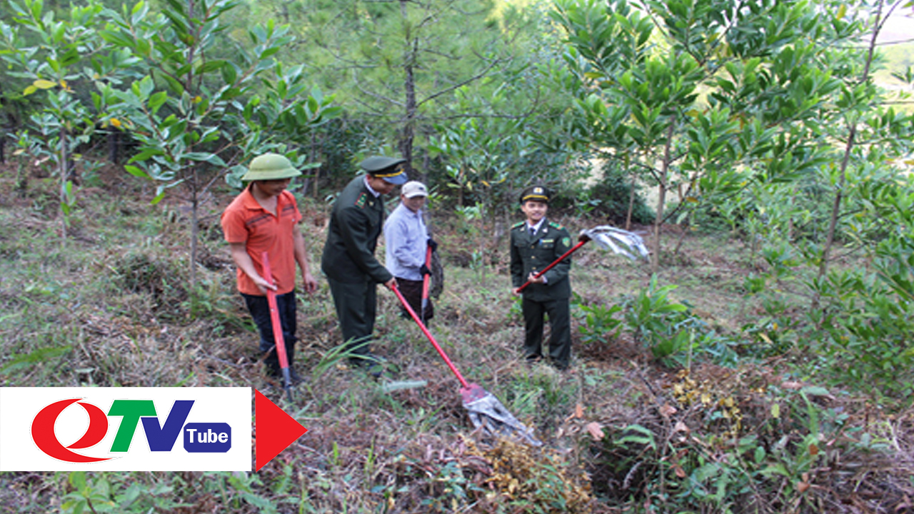 Mùa hanh khô, đẩy mạnh phòng chống cháy rừng