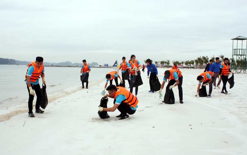 Sinh viên Trường Đại học Hạ Long và Đại học Công nghiệp Quảng Ninh dọn vệ sinh môi trường dọc bãi biển trong chương trình “Action for Ha Long bay”.