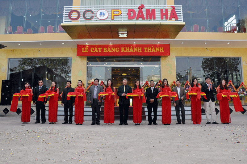 Các đại biểu cắt băng khai trương Trung tâm giới thiệu và bán sản phẩm OCOP huyện Đầm Hà