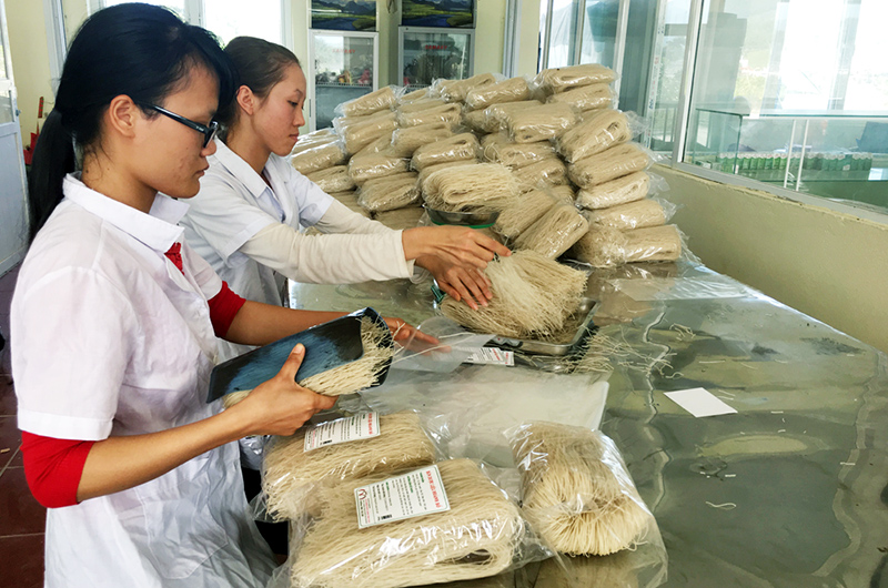 Công nhân HTX Nông dược xanh Tinh Hoa (huyện Hoành Bồ) đóng gói sản phẩm bún dược liệu.