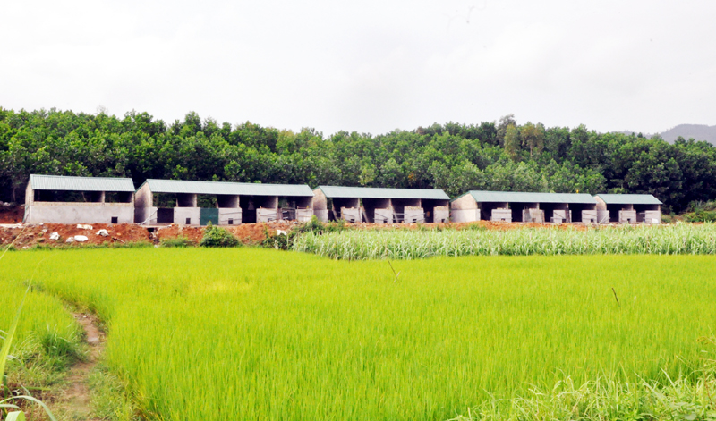 Khu chuồng trại chăn nuôi gia súc của người dân thôn Phình Hồ, xã Bắc Sơn được xây dựng tập trung xa khu dân cư.