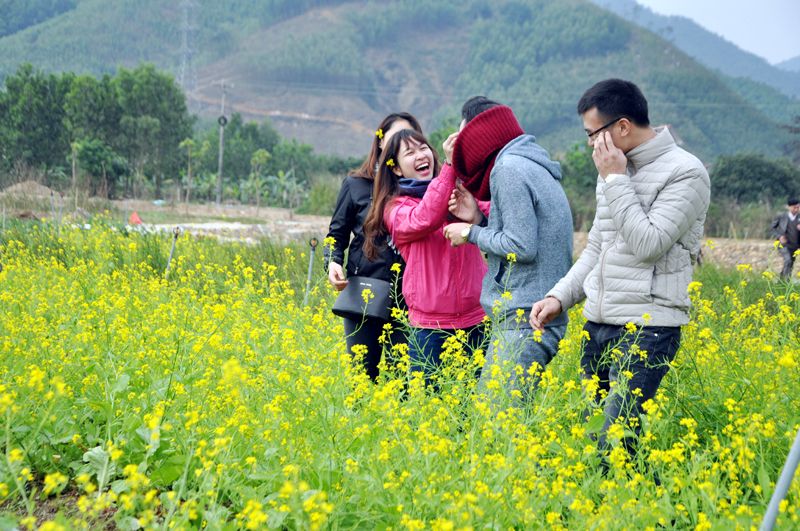Hoanh Bo Flower Village now becomes an attractive tourism destinations of Quang Ninh.
