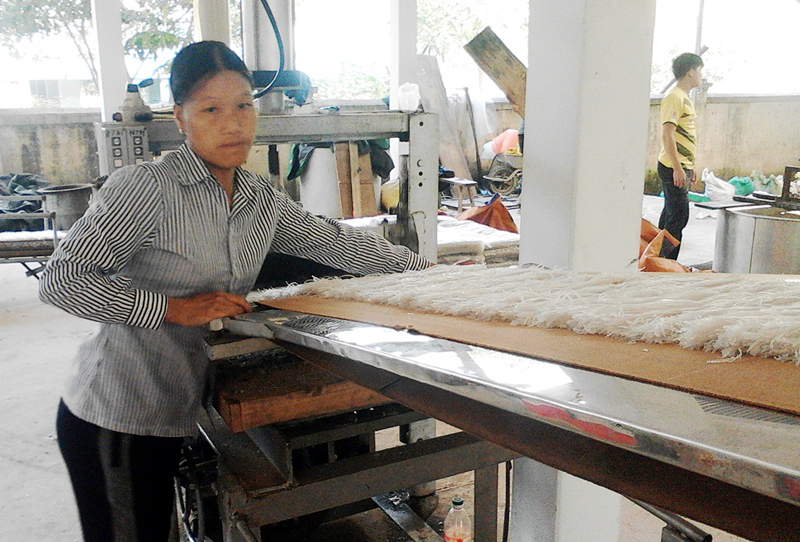 Sản xuất miến dong tại HTX Phát triển Đình Trung (thôn Nà Ếch, xã Húc Động, huyện Bình Liêu).
