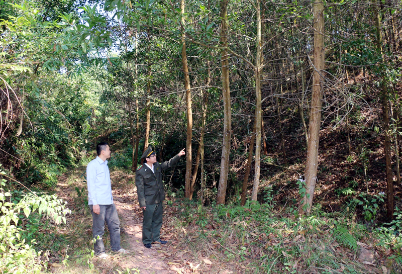 Lực lượng kiểm lâm huyện Ba Chẽ kiểm tra công tác PCCCR tại thôn Khe Tâm, xã Nam Sơn.