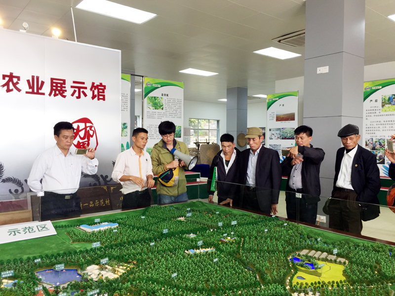 Đoàn học viên tỉnh Quảng Ninh (Việt Nam) tham quan mô hình phát triển nông nghiệp thôn Trung Lương, huyện Long An, TP Nam Ninh, Quảng Tây, Trung Quốc.