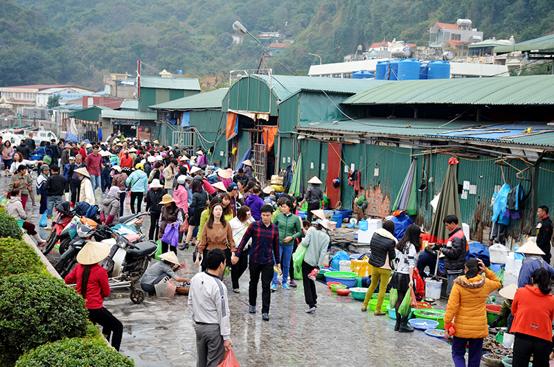 Khu vực chợ cá tươi sống cũng là nơi được rất nhiều người dân và du khách lui tới để chọn cho gia đình, người thân những thực phẩm tươi sống nhất trong ngày đầu năm mới.