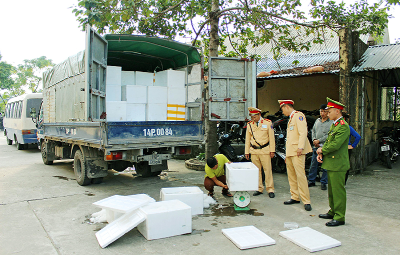 Công an huyện Hải Hà kiểm tra, phát hiện xe ô tô tải 14P-0084 vận chuyển 1 tấn cá chuối không rõ nguồn gốc, ngày 15-12-2016. Ảnh: Ánh Hồng (CTV)